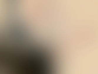 佚名仙真賜丹圖 有西園居士,內閣學士內閣侍讀學土翰林侍讀學士兩方印,未知是誰的印,識者教我。2014年舊金山邦漢斯