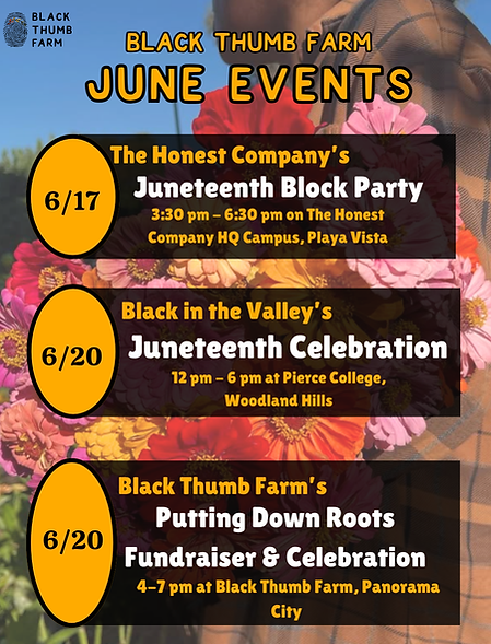 Upcoming Events Instagram Post (5).png