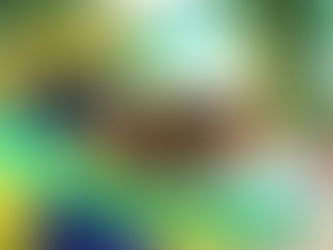 Por que estas eleições do Brasil importam tanto para os EUA?