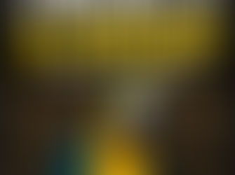 O Preconceito de Papagaio: quando pensar dá muito trabalho