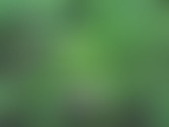 Canabidiol protege neurônios e previne Alzheimer diz novo estudo