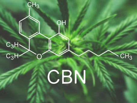 Canabidiol protege neurônios e previne Alzheimer diz novo estudo