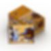 Chocolate Caramel Organic Plant-Based Stroopwafel 2-pack