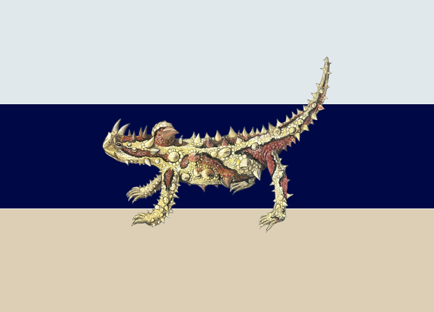 Nieuw project (2).png