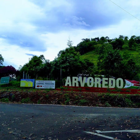 Sofrendo com Dor nas Costas em Árvoredo (SC)? Saiba Onde Encontrar um Especialista em Coluna para Tratamento de Hérnia de Disco, Dor Ciática e Outras Doenças da Coluna Vertebral