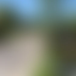 Dor nas Costas em Entre Rios (SC)? Veja Onde Encontrar um Especialista em Coluna para Hérnia de Disco, Dor Ciática, Estenose de Canal e Outras Doenças da Coluna Vertebral