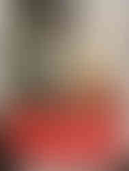 14893F92-5FCC-463C-A2E1-296F3CD5999F_1_105_c.jpeg