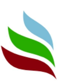 logo MST.png