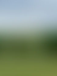 Son Servera – Hyvän mielen lomagolfia Mallorcalla