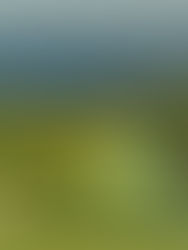 Mallorcan ykköskentällä Alcanadassa kaikki tehdään luonnon ehdoilla