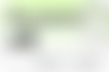 BitDCA Newsletter #5