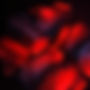 bg_3_edited.jpg