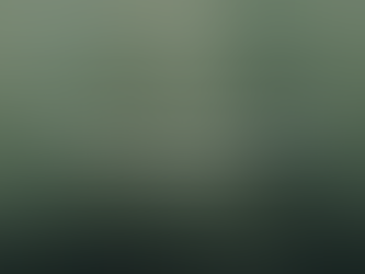 Living Offended; Do We Have The Right?