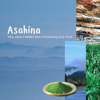 Asahina Matcha: Why Japan’s Hidden Gem is Surpassing Uji & Yame