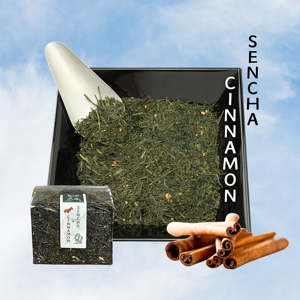 sencha cinnamon
