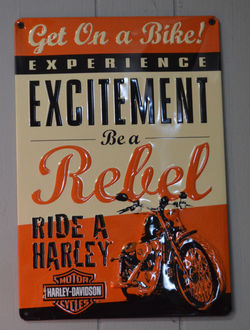 Harley Davidson Sign