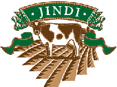 jindi-color-logo.gif