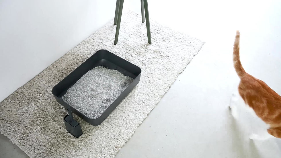 Thumbnail: POH litter box