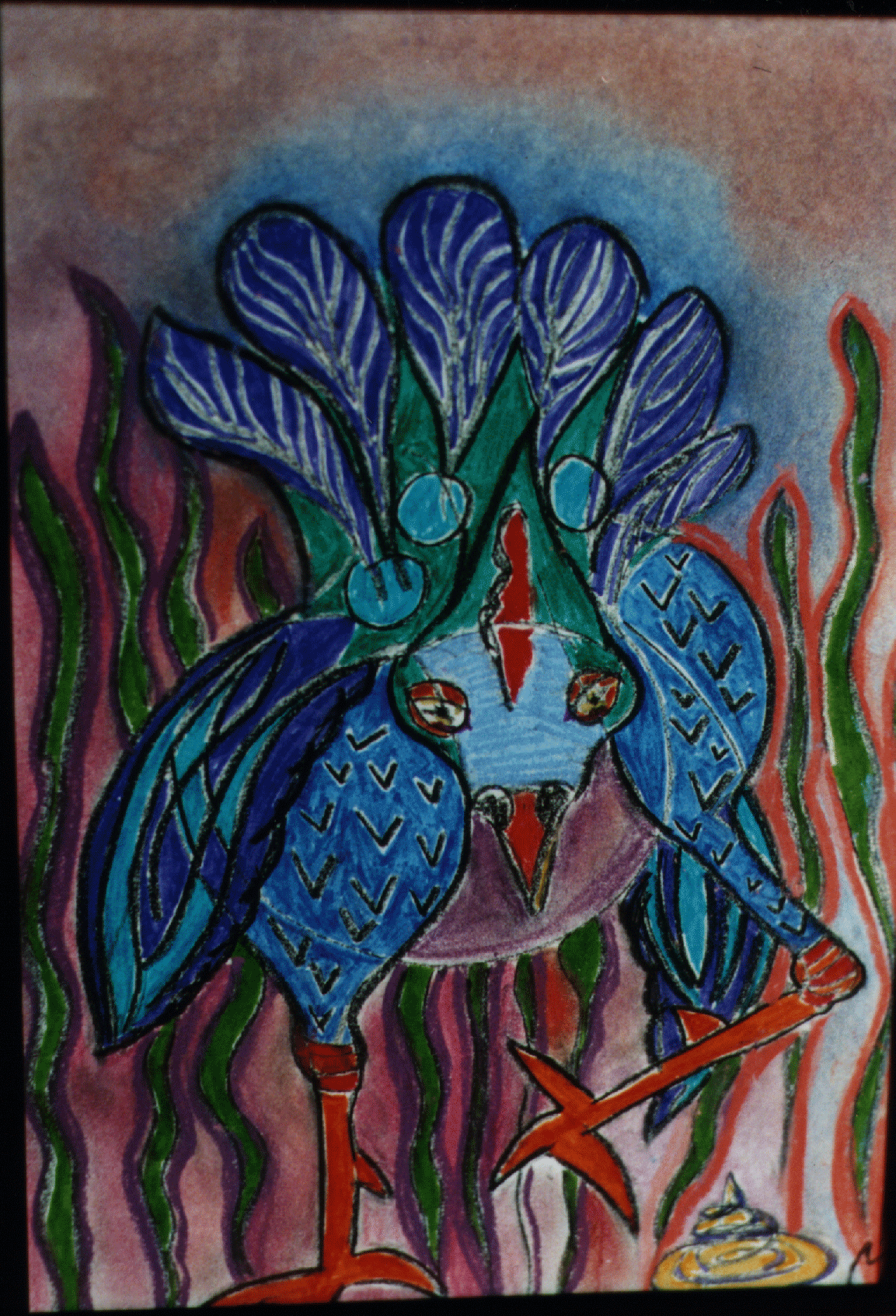 Oiseau paon - copie