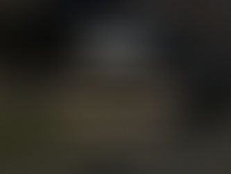 Dumpster Rentals Vs. Junk Removal