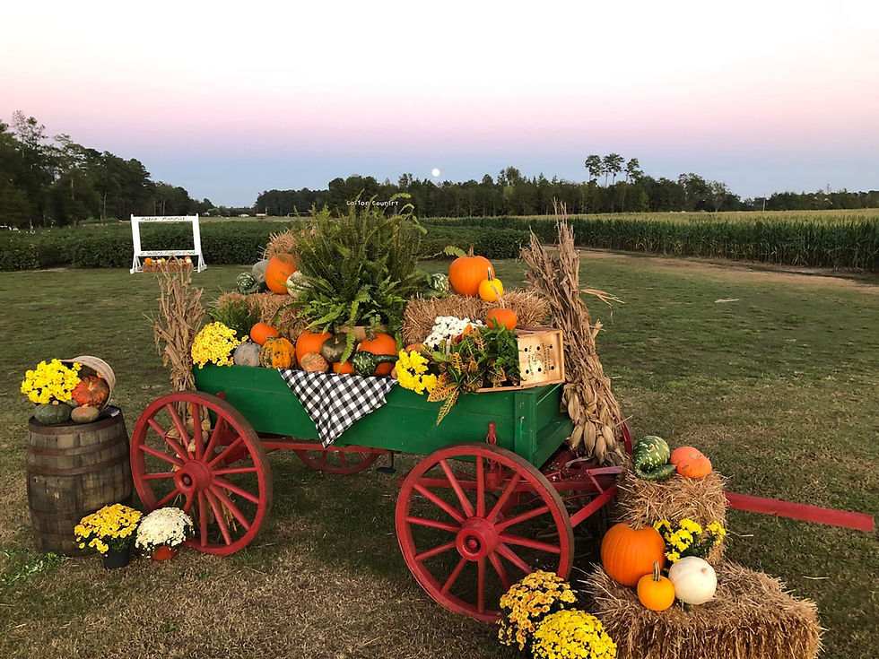 Opening Day for Fall Fun