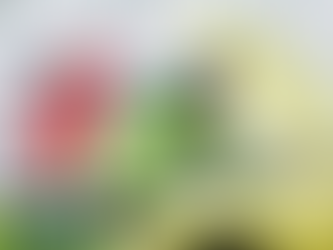 Costumer expectations for her roadside service. How to fill those expectations. Roadside Assistance on Highway 