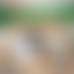 福岡市東区 九州産業大学周辺で卒業に伴う家電整理｜冷蔵庫・洗濯機・テレビ・エアコンの出張買取