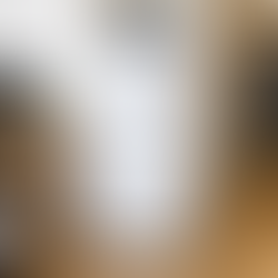 筑紫野市 冷蔵庫 買取実績