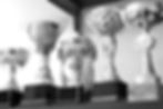 Collection Of Trophies_edited.jpg