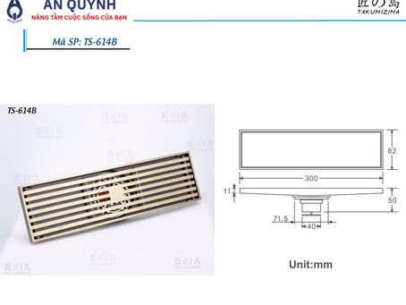 SERIES - PHỄU THOÁT SÀN TAKUMIZIMA TS-614