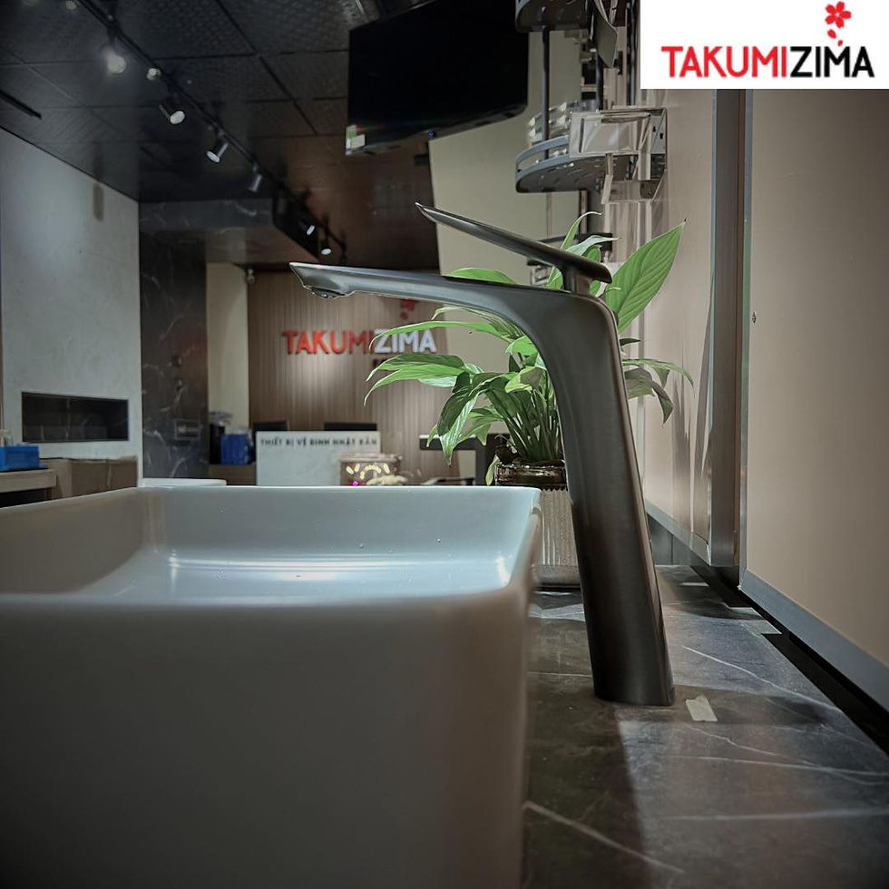Vòi lavabo và lavabo Takumizima FC-104T và BS-229-MG