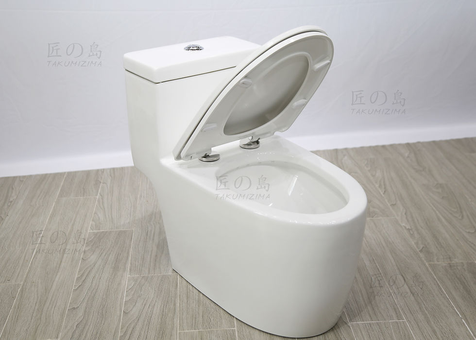 Bàn Cầu Liền Khối Takumizima TKM-116