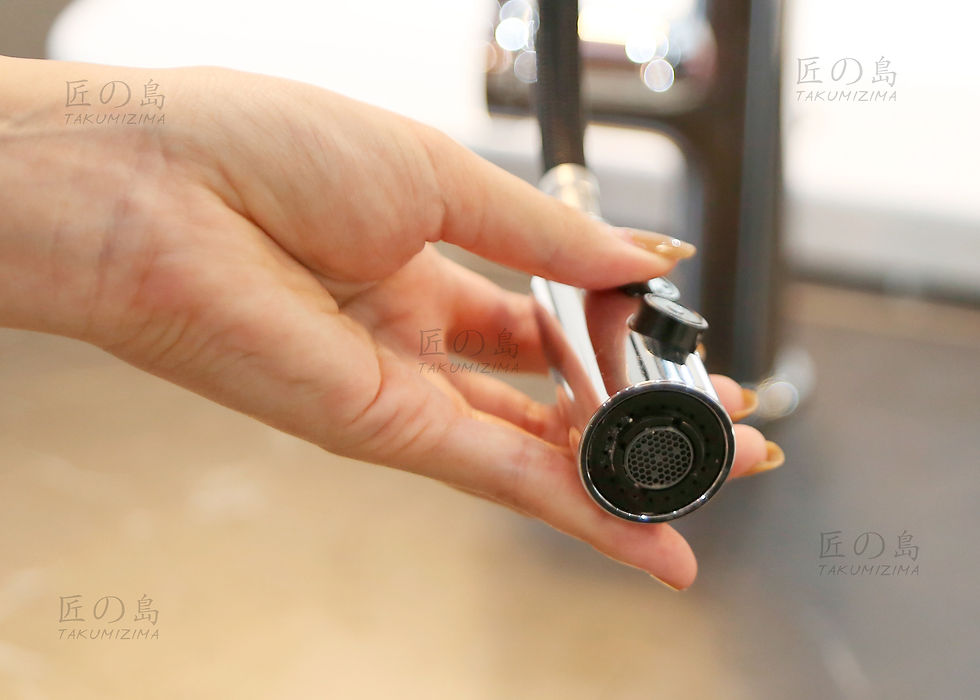 Vòi bếp Takumizima KFC-5400A