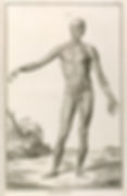 Anatomia