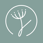 Logo de Florería