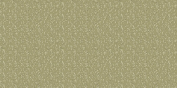 Black Friday Early Access-3.png