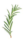 Untitled design-89.png