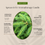 Miniatura: You Are Enchanting Spruce and Fir 8oz Candle