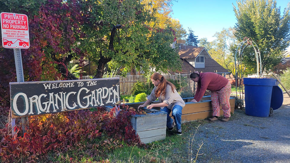Growing Spaces program has big plans to connect wellness, sustainability and community on campus