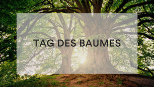 Heute ist der Tag des Baumes!