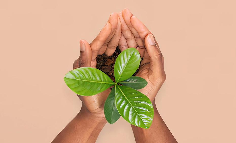 Etude d'impact sur l'environnement Maroc