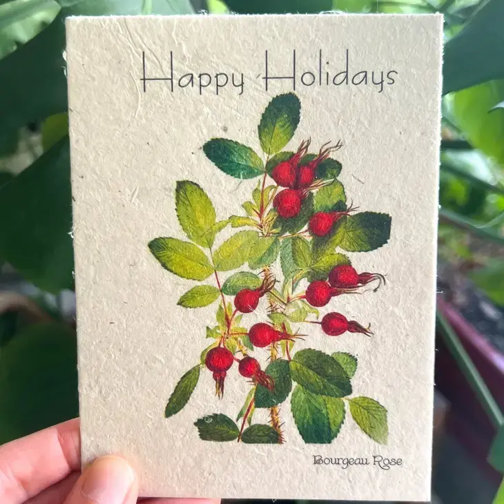 Thumbnail: Wildflower Seed Card || Zero Waste