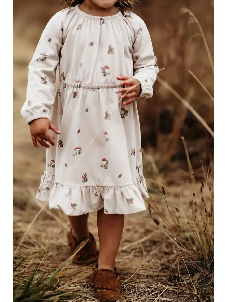 Raglan Ruff Dress- Blush Mushrooms City Mouse
