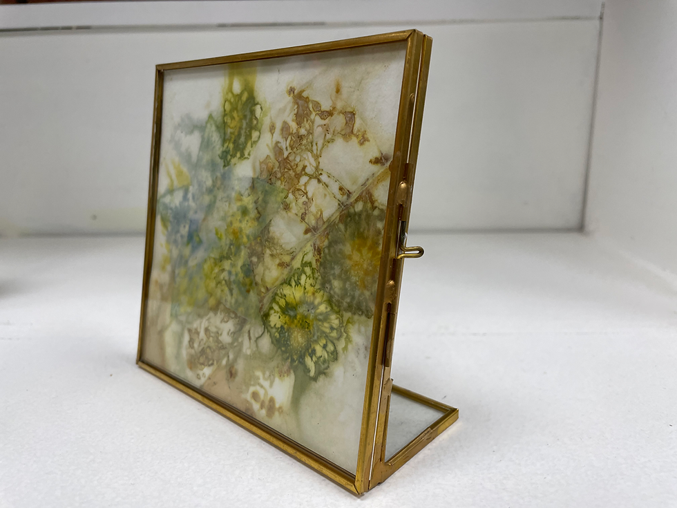 Thumbnail: Gold Framed Eco Prints Pine Orchard