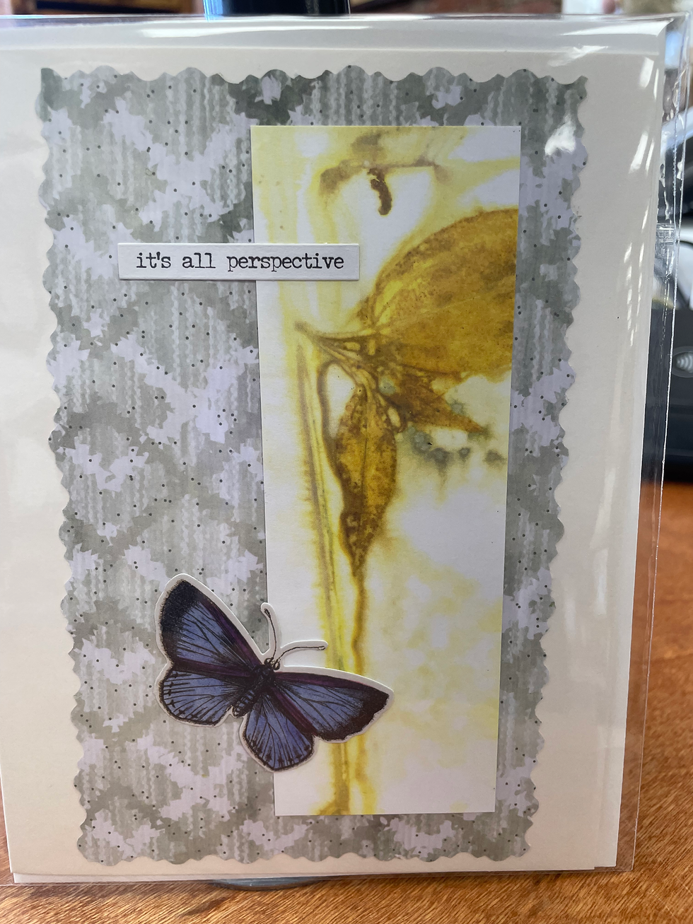 Thumbnail: Pine Orchard Miscellanious Blank Cards