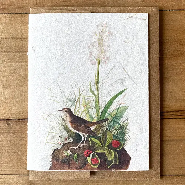Tawny Thrush Handmade Greeting Card Bat Flower Press