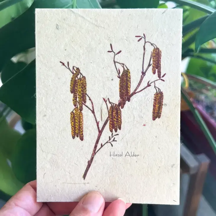 Thumbnail: Wildflower Seed Card || Zero Waste