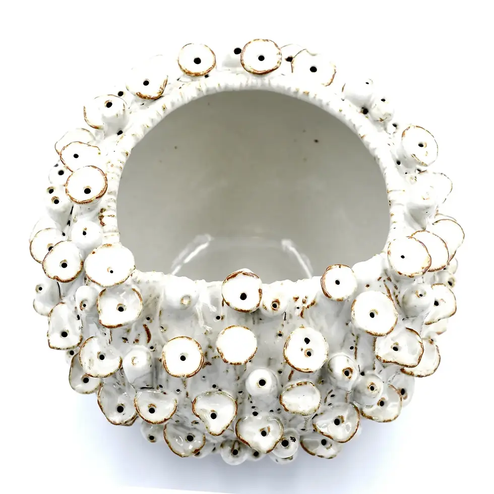 Thumbnail: Sea Anemone Ceramic Vase