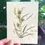 Thumbnail: Wildflower Seed Card || Zero Waste