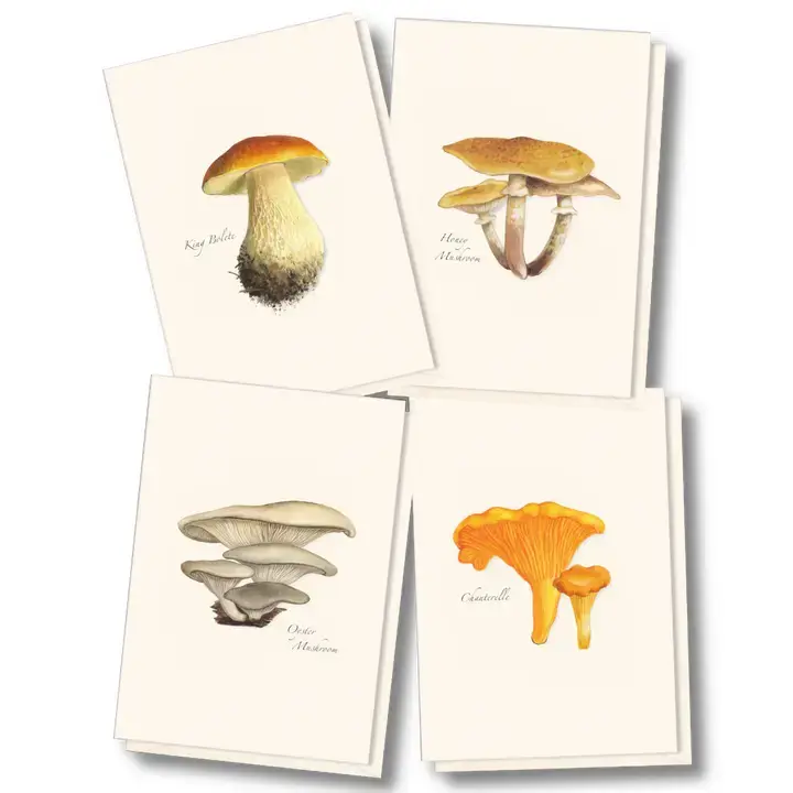 Edible Mushroom Assortment